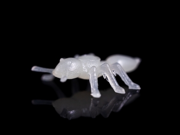 Kleine Plastik-Ameisen 70 St. - fluoreszierend